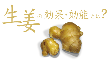 生姜の効果効能