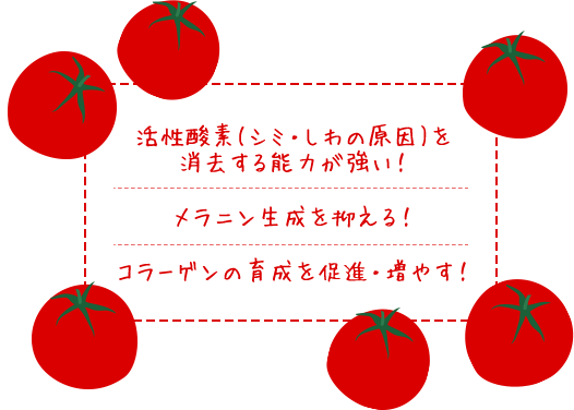 リコピンの仕事