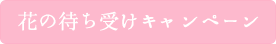 花の待ち受けキャンペーン開催中！