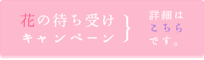 花の待ち受けキャンペーン
