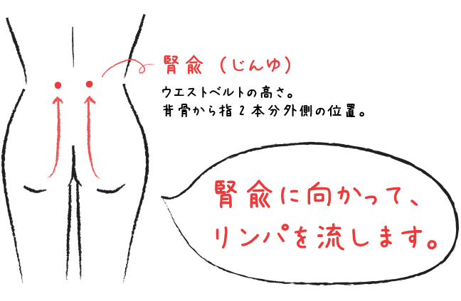 腎兪_リンパ