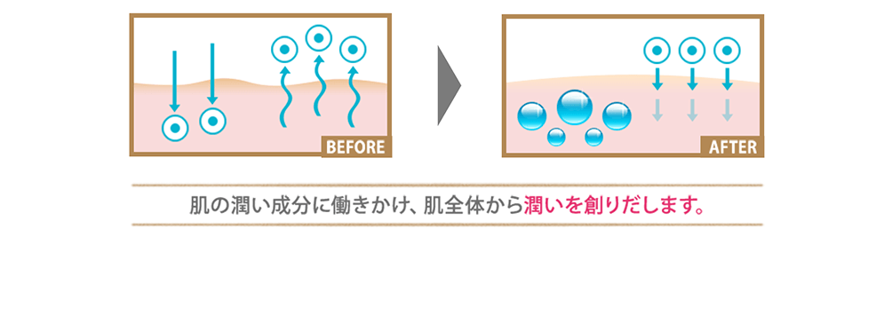 肌の潤い成分に働きかけ、肌全体から潤いを創りだします。