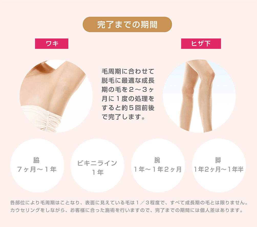 了までの期間 毛周期に合わせて脱毛に最適な成長期の毛を２～３ヶ月に１度の処理をすると約５回前後で完了します。 脇７ヶ月～１年 ビキニライン１年 腕１年～１年２ヶ月 脚１年２ヶ月～１年半 各部位により毛周期はことなり、表面に見えている毛は１／３程度で、すべて成長期の毛とは限りません。カウセリングをしながら、お客様に合った施術を行いますので、完了までの期間には個人差はあります。