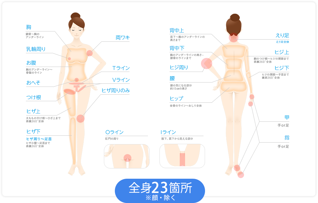 全身23箇所※顔・除く