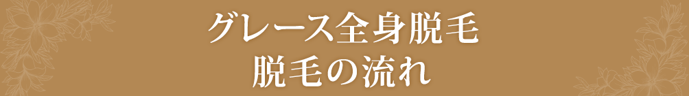 グレース全身脱毛脱毛の流れ