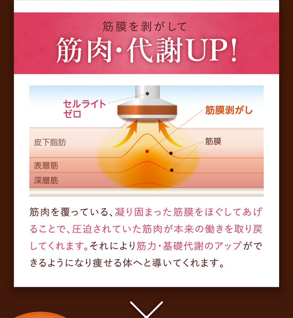 筋膜を剥がして筋肉・代謝UP！筋肉を覆っている、凝り固まった筋膜をほぐしてあげることで、圧迫されていた筋肉が本来の働きを取り戻してくれます。それにより筋力・基礎代謝のアップができるようになり痩せる体へと導いてくれます。