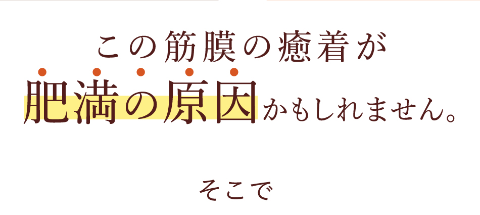 この筋膜の癒着が肥満の原因かもしれません。そこで